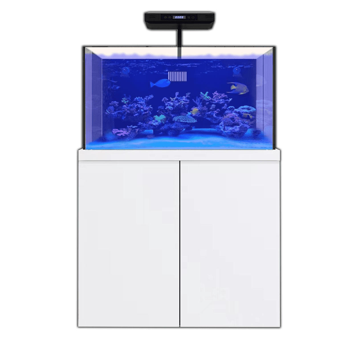 Coral Reef Aquarium 100 Gallon Fish Tank Complete Set