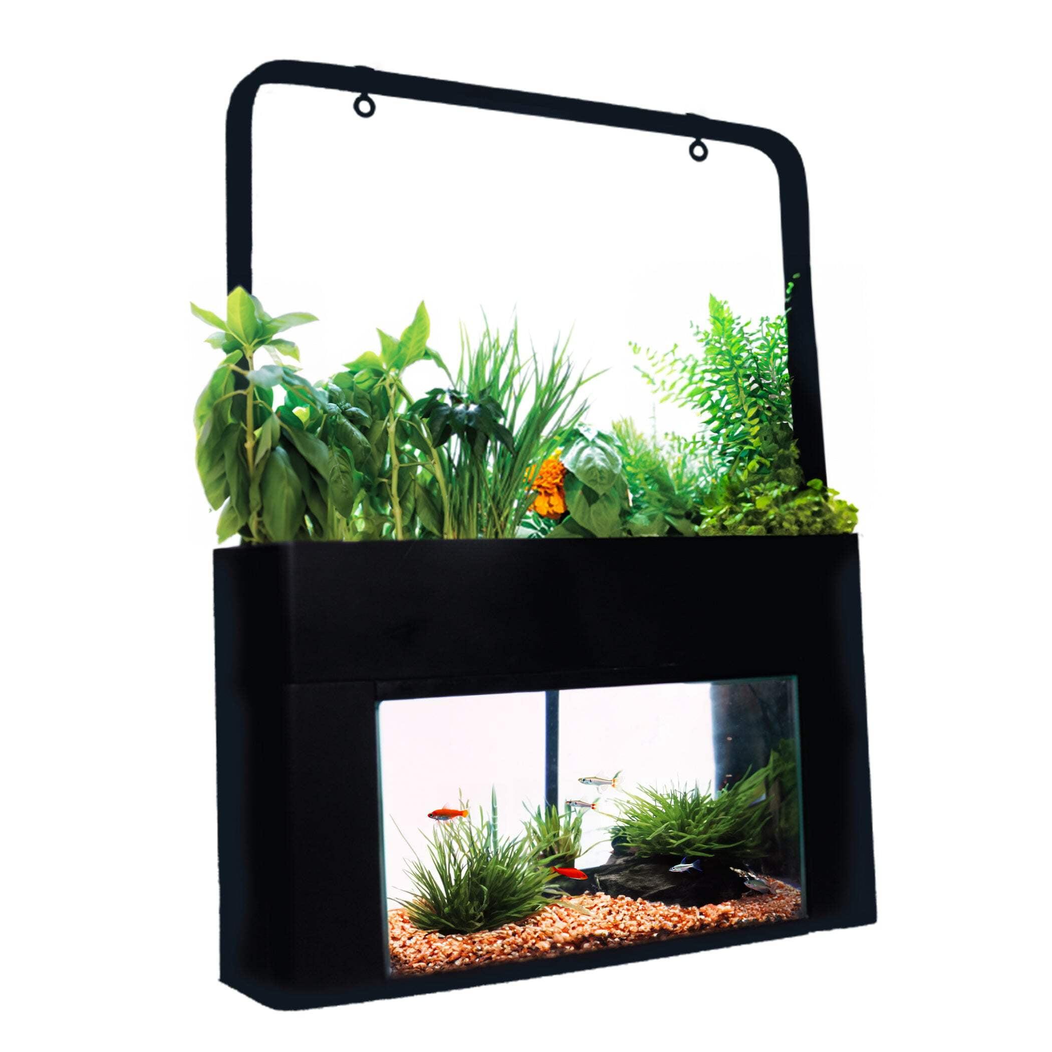 Black Plastic Self-Cleaning Desktop Aquaponics Aquarium Kit