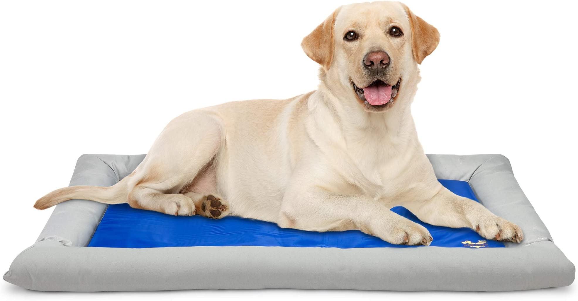 Arf Pets Dog Cooling Mat, Self Cooling Pet Bed - Cold Pad