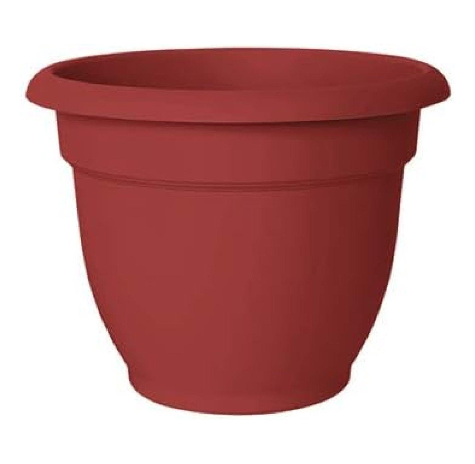 Bloem Ariana 5.1 in. H X 6 in. D Resin Planter Burnt Red