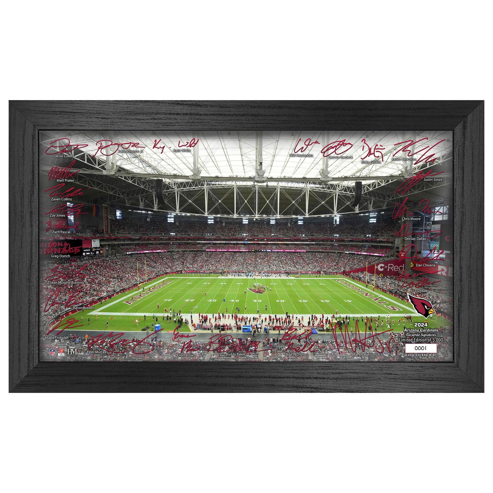 Highland Mint Arizona Cardinals 12" x 20" 2024 Signature Gridiron Panoramic Framed Photo