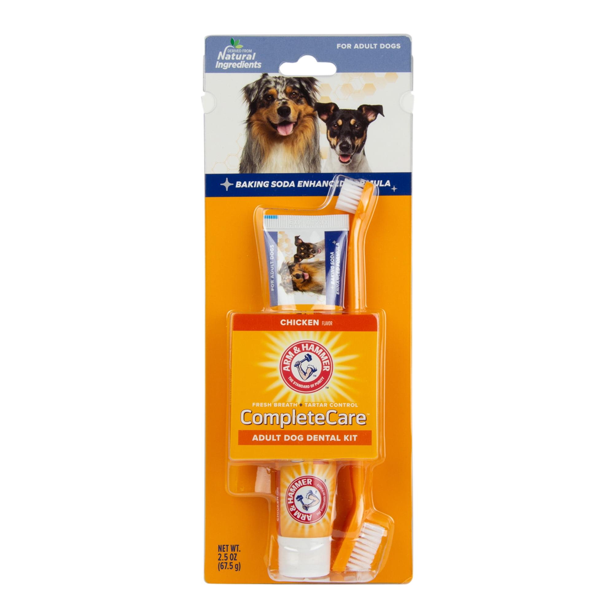 Arm & Hammer Complete Care Adult Dog Dental Kit - 2.5oz/2ct