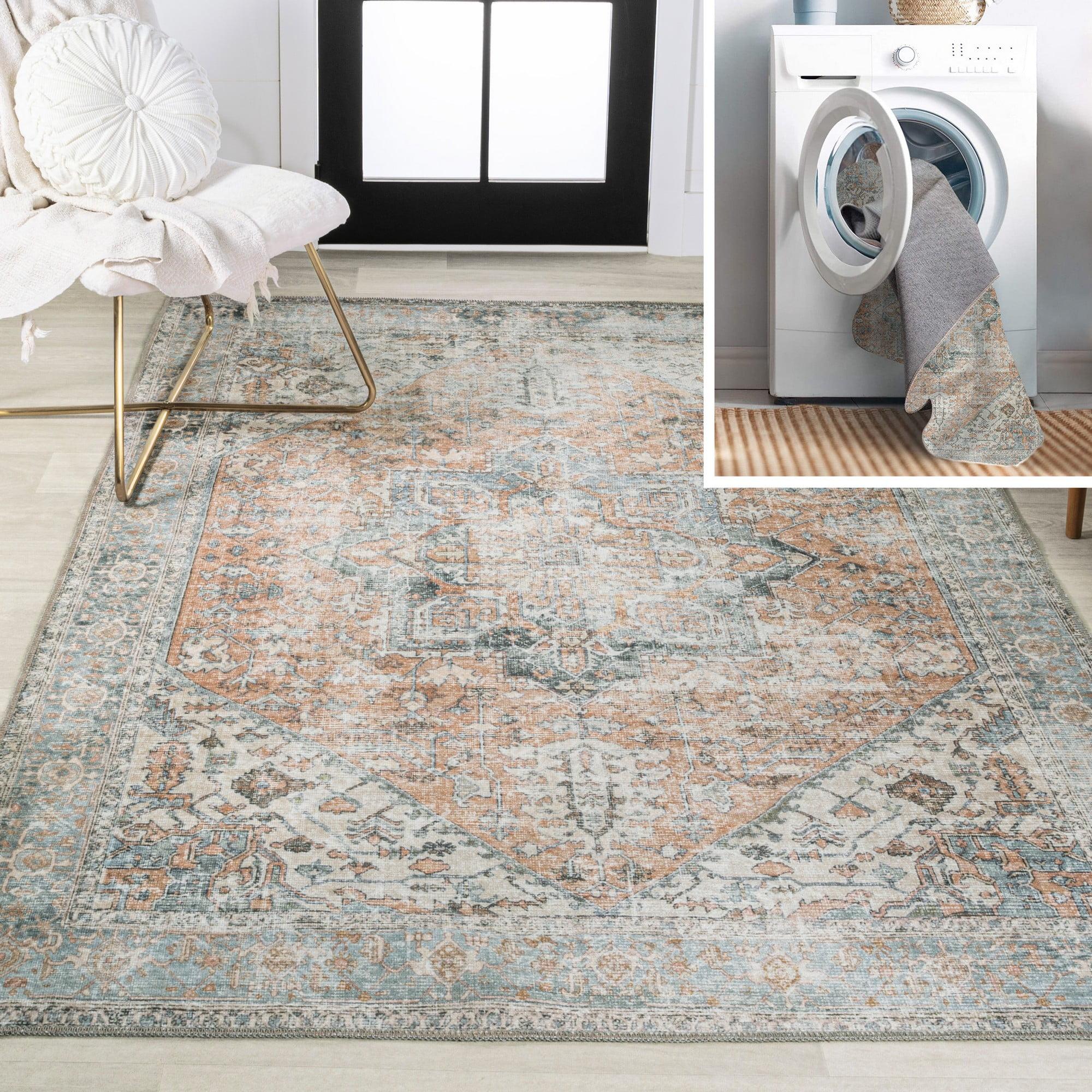 Armae Blue and Terra Distressed Chenille 4' x 6' Area Rug