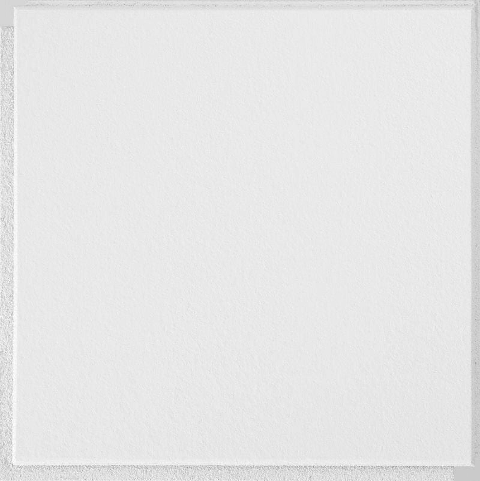 Washable White 1 ft. x 1 ft. Drop-In Mineral Fiber Ceiling Tile in White