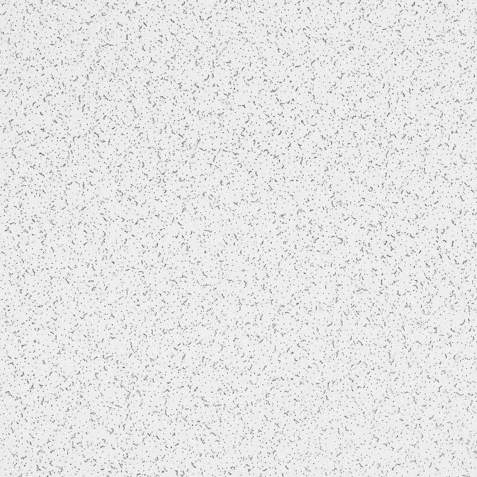 White Random Textured Acoustic Ceiling Tiles 24" x 48"