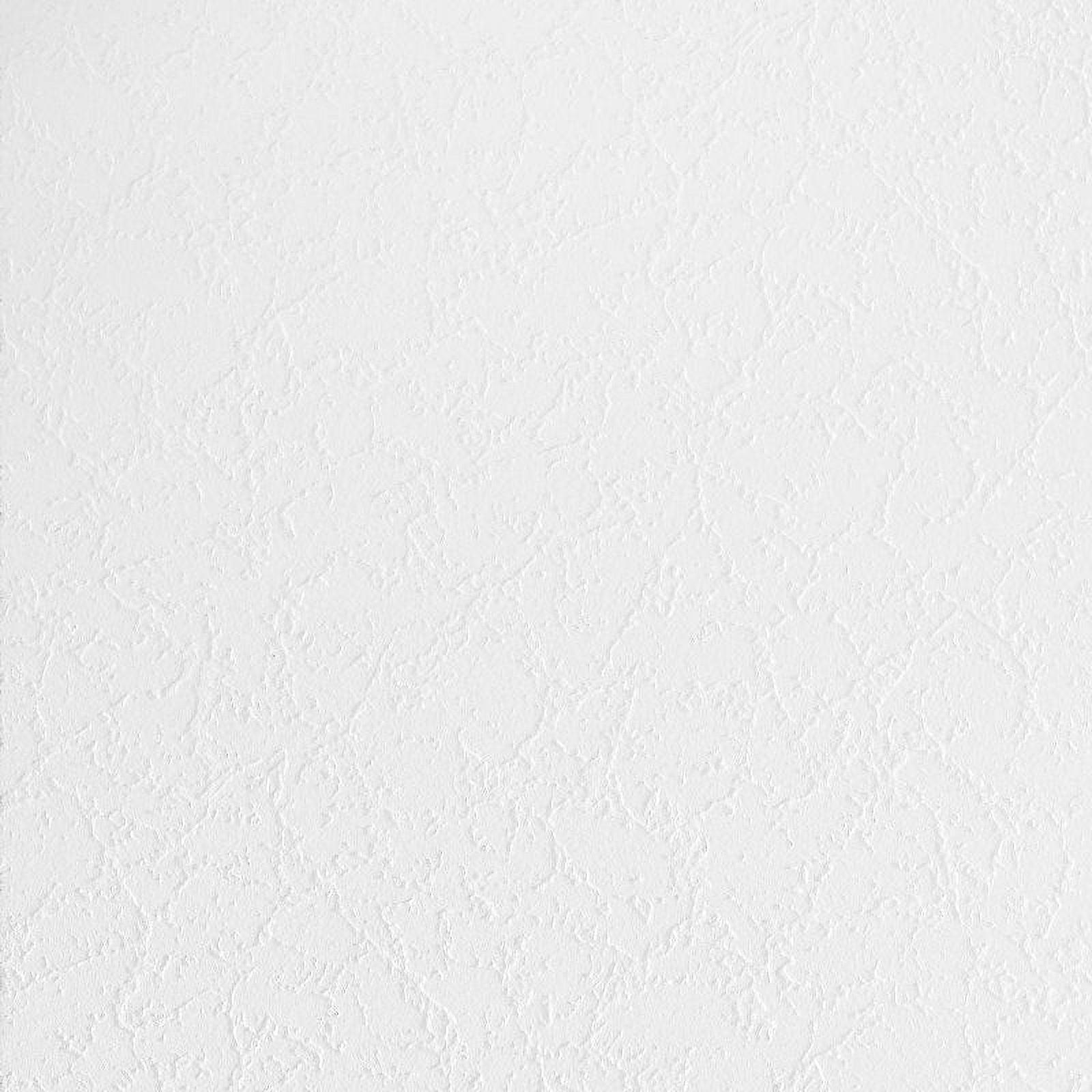 Grenoble White Textured Acoustic Ceiling Tiles, 24" x 48"