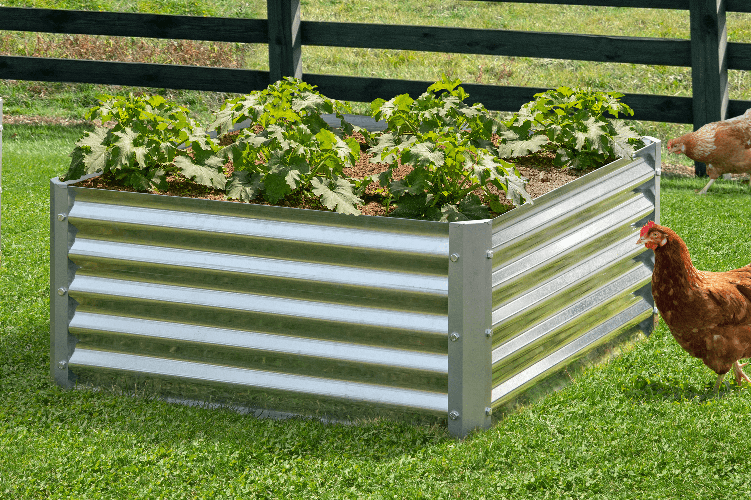 Galvanized Steel Raised Garden Bed 36x36x17