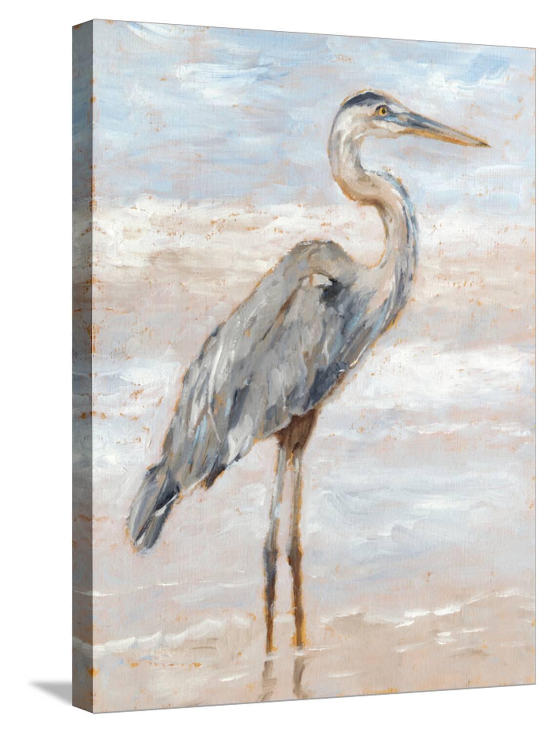 Amanti Art Beach Heron I by Ethan Harper Framed Canvas Wall Art Print