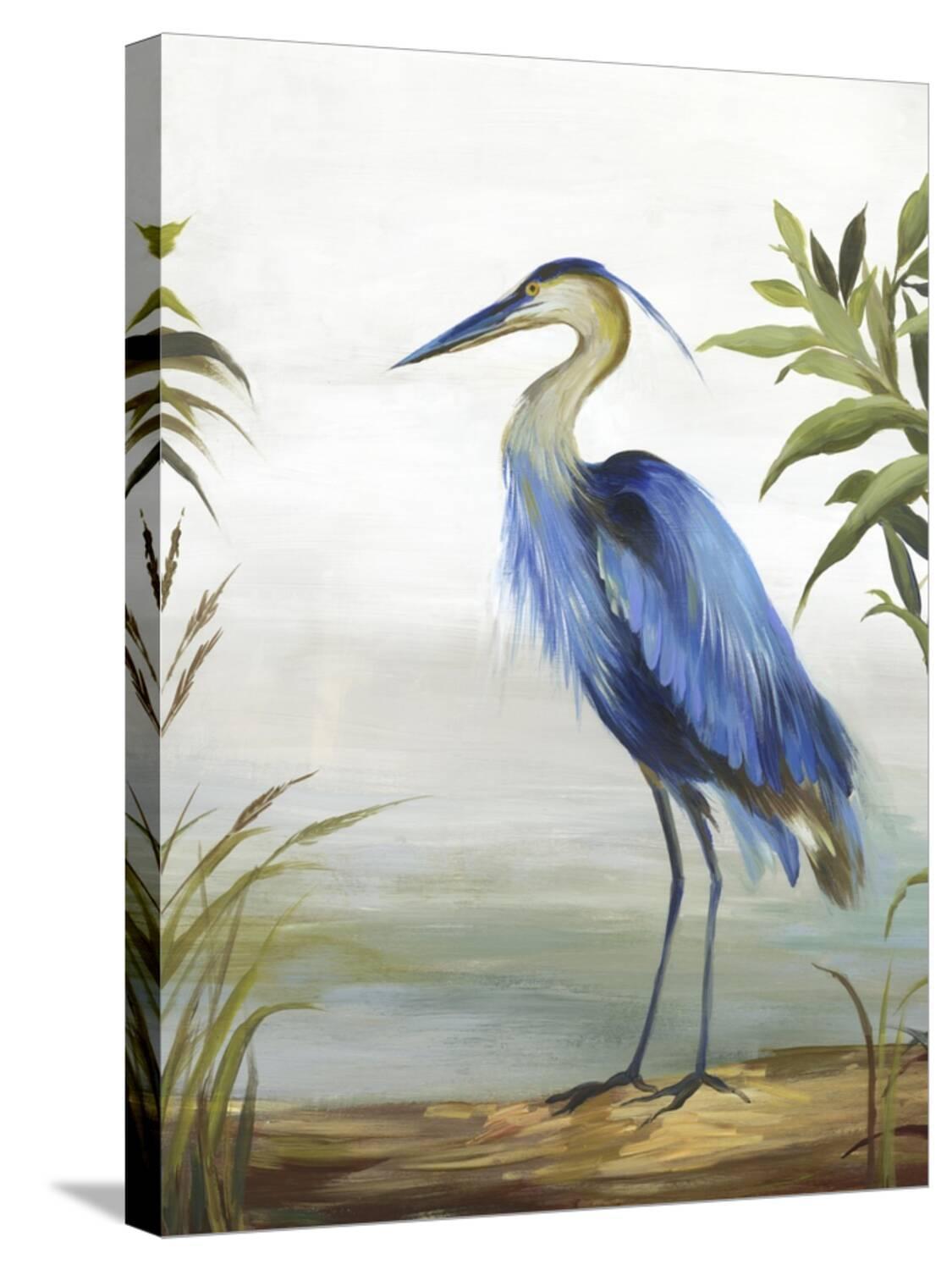 Amanti Art Blue Heron by Aimee Wilson Canvas Wall Art Print Framed 18" x 24" in Sylvie Black
