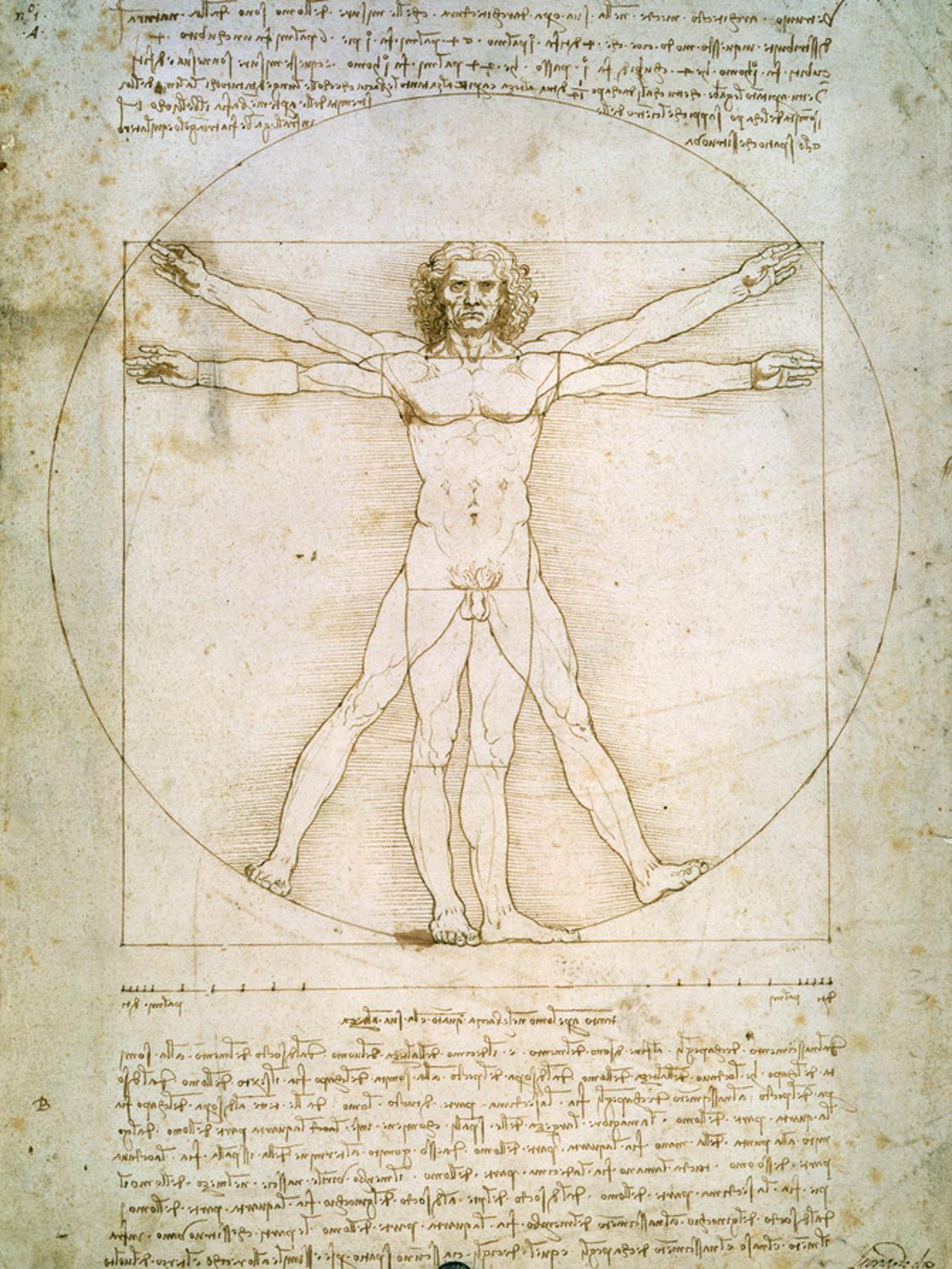 Art.com Vitruvian Man Art Print by Leonardo da Vinci, 12" x 16"