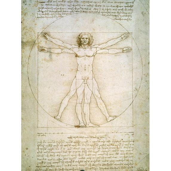 Art.com Vitruvian Man Art Print by Leonardo da Vinci, 12" x 16"