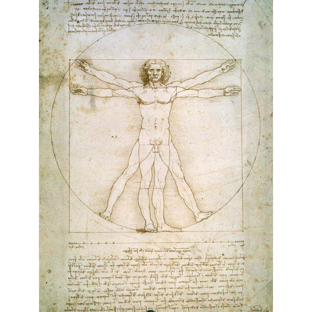 Art.com Vitruvian Man Art Print by Leonardo da Vinci, 12" x 16"