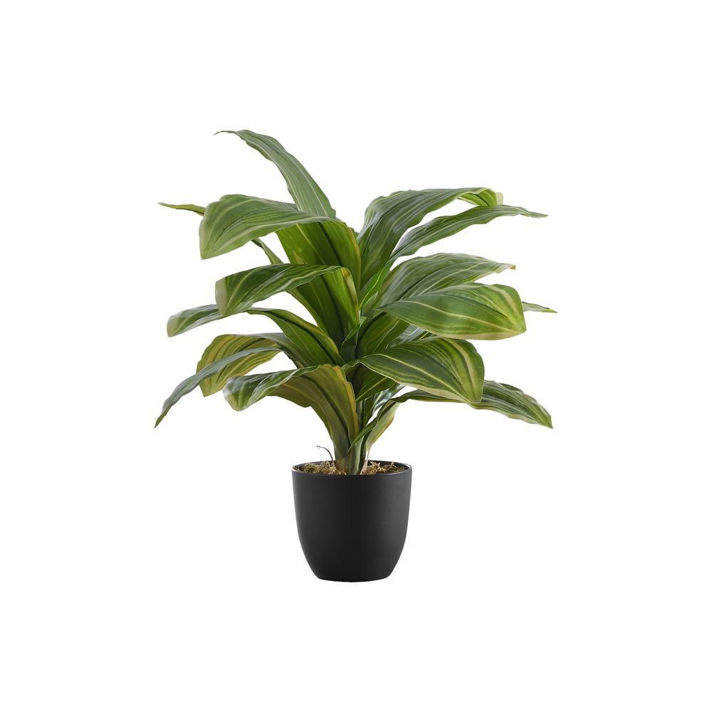 17" Tall Green Dracaena Faux Plant in Black Pot