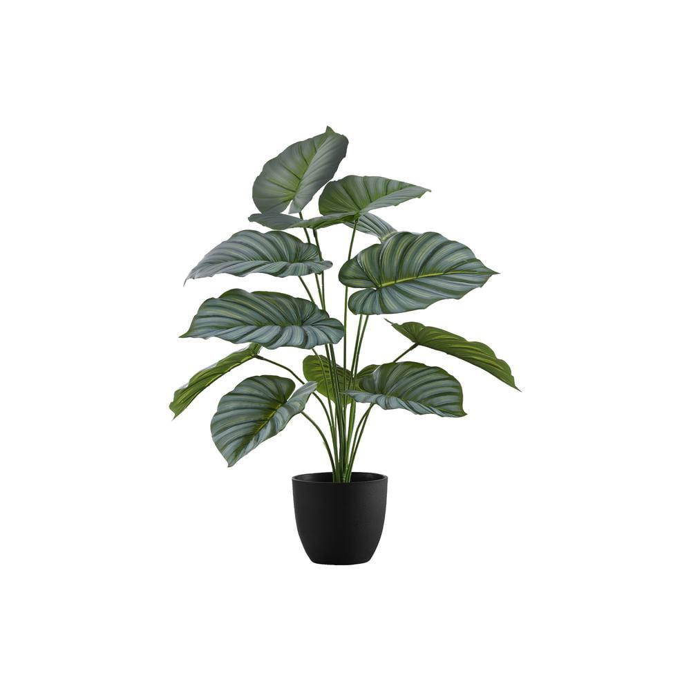 24" Green Plastic Calathea Plant in Black Pot