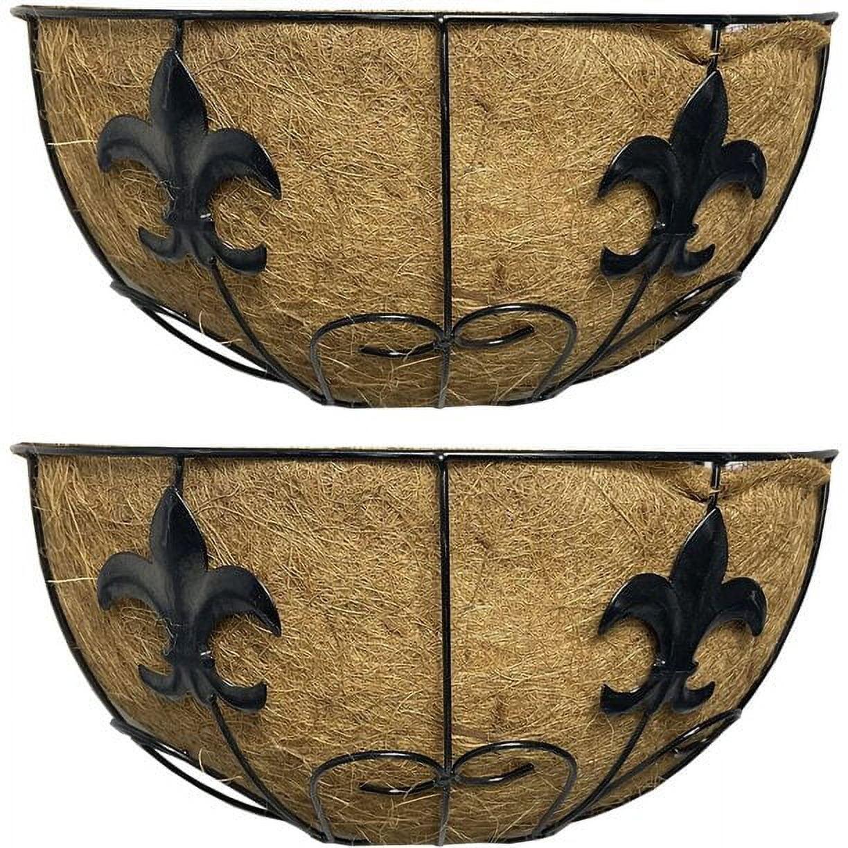Ashman Wall/Rail Metal Plant Basket, Black, 2 Pack – Hanging Flower Planters for Fences & Walls