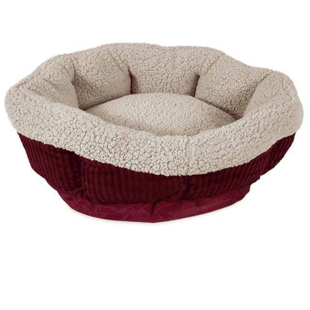 Tucker Murphy Pet™ Cheemeng Twin Platform Bed
