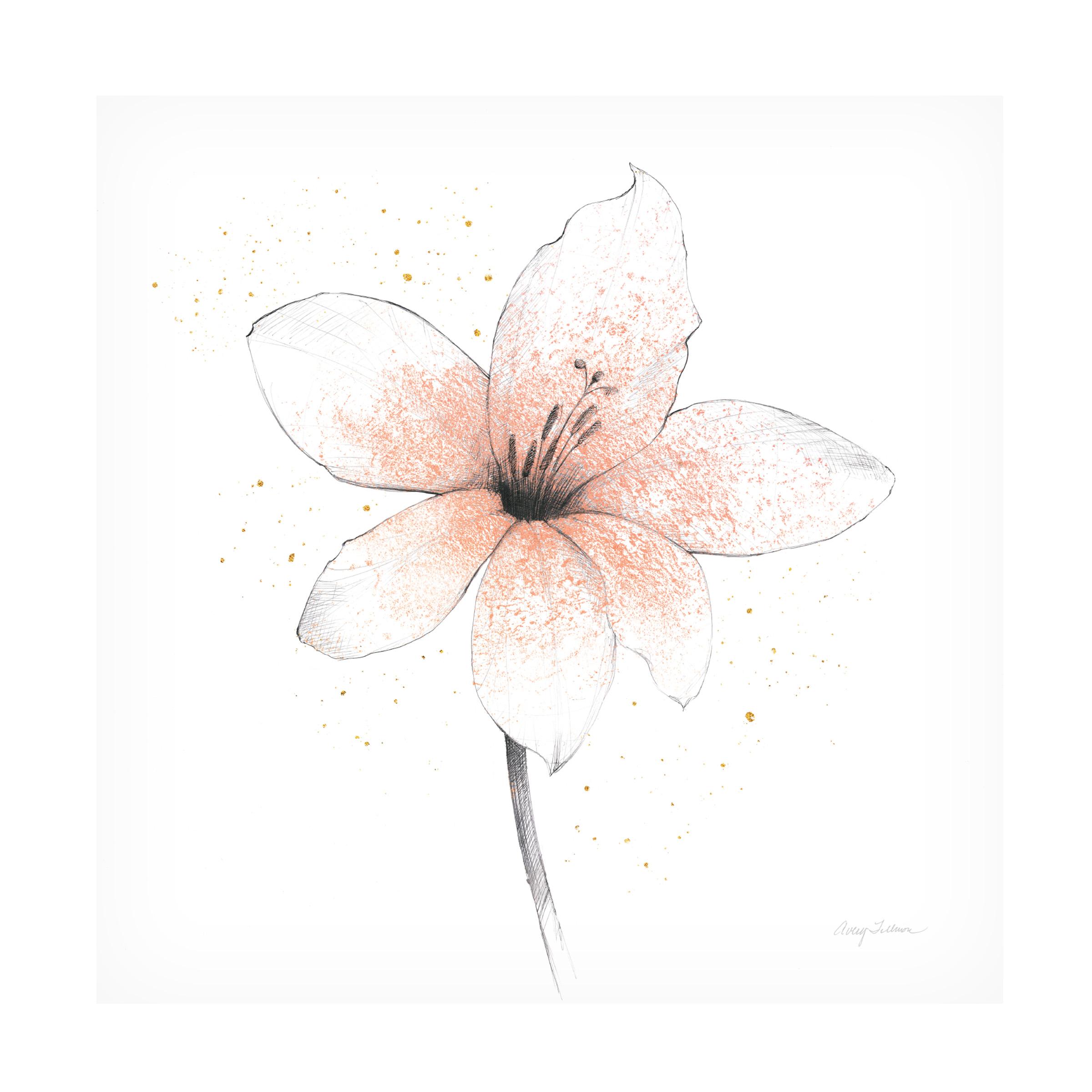 Avery Tillmon 'Coral Graphite Flower II' Canvas Art
