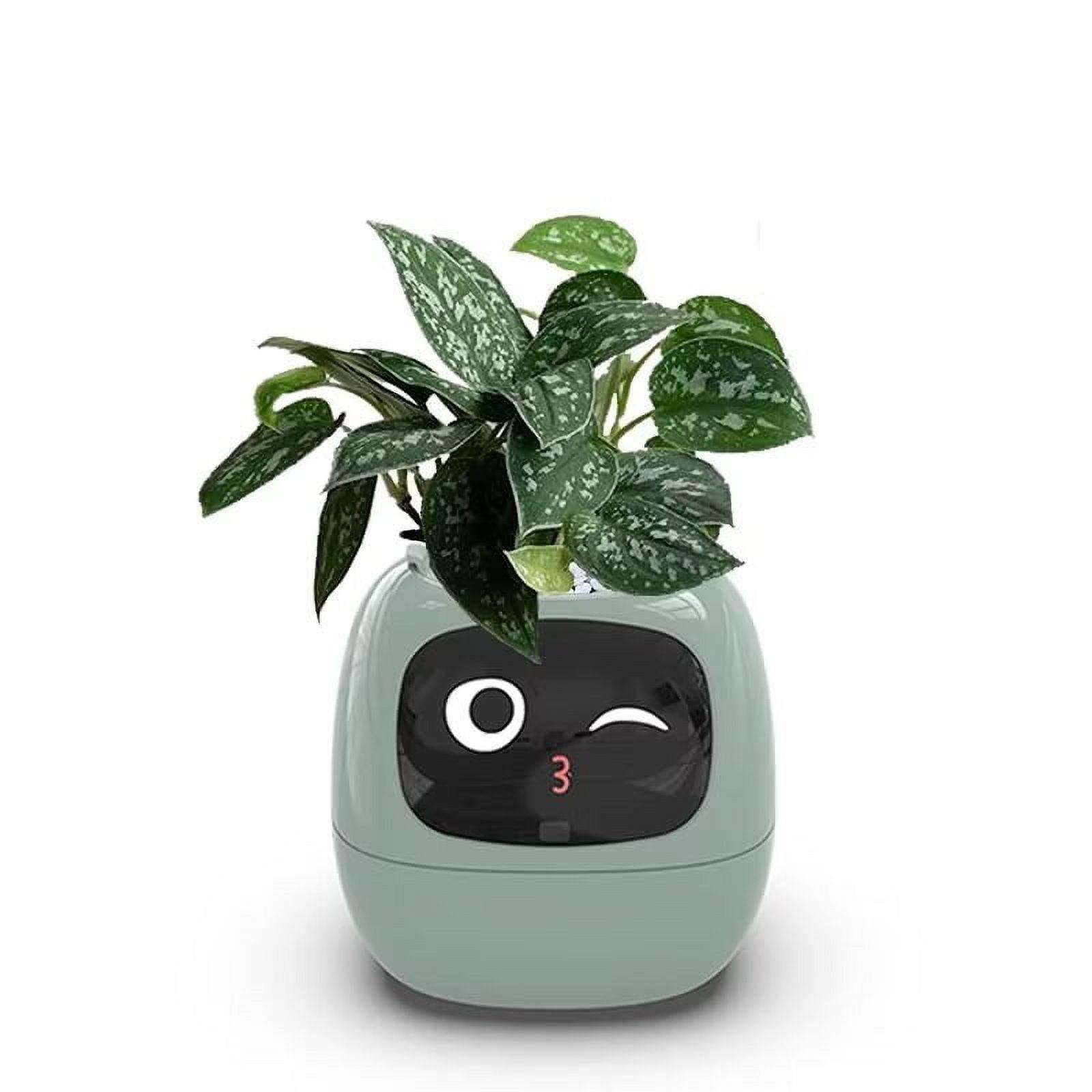Green Intelligent Apple-Shaped AI Plant Pot with Sensors
