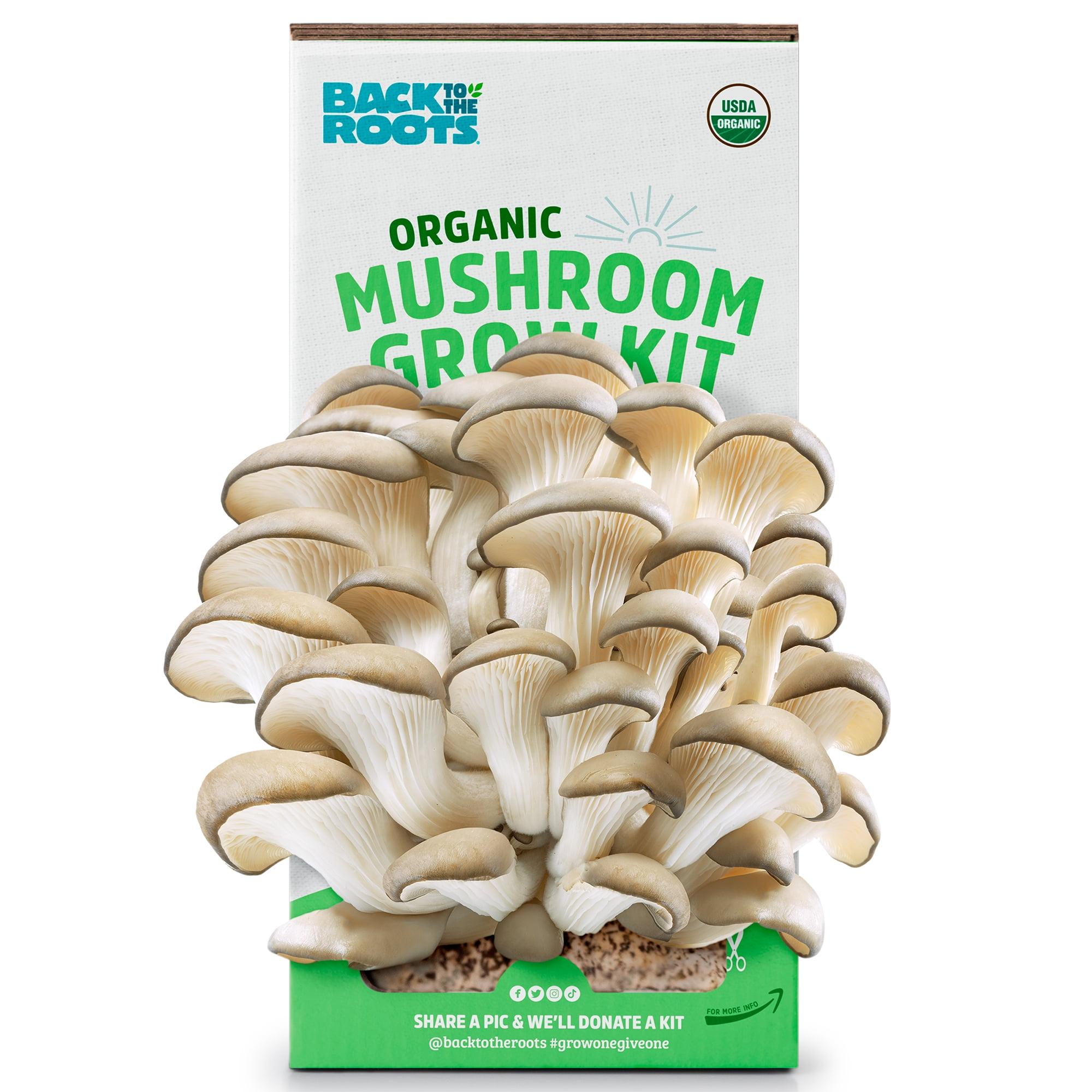 Back to the Roots  Organic Mushroom Grow Kit