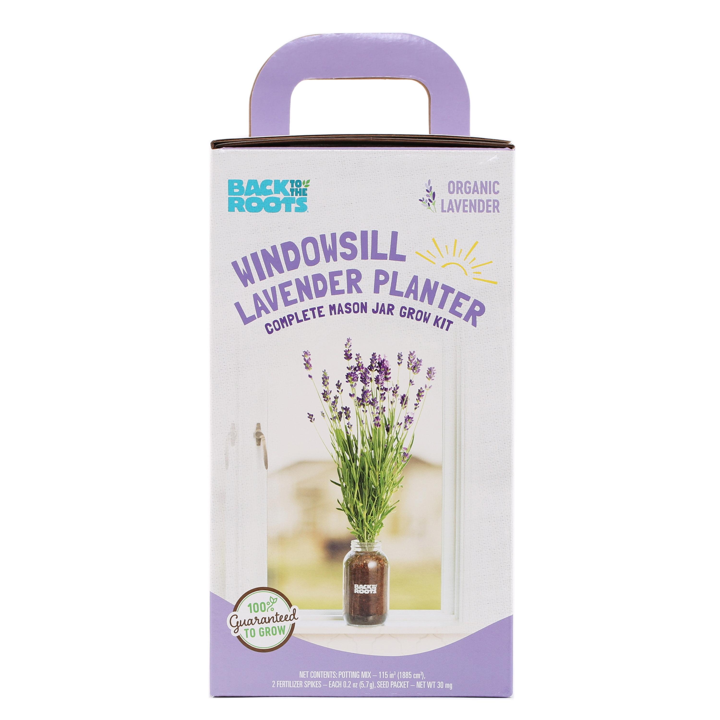 Back to the Roots Organic Lavender Grow Kit