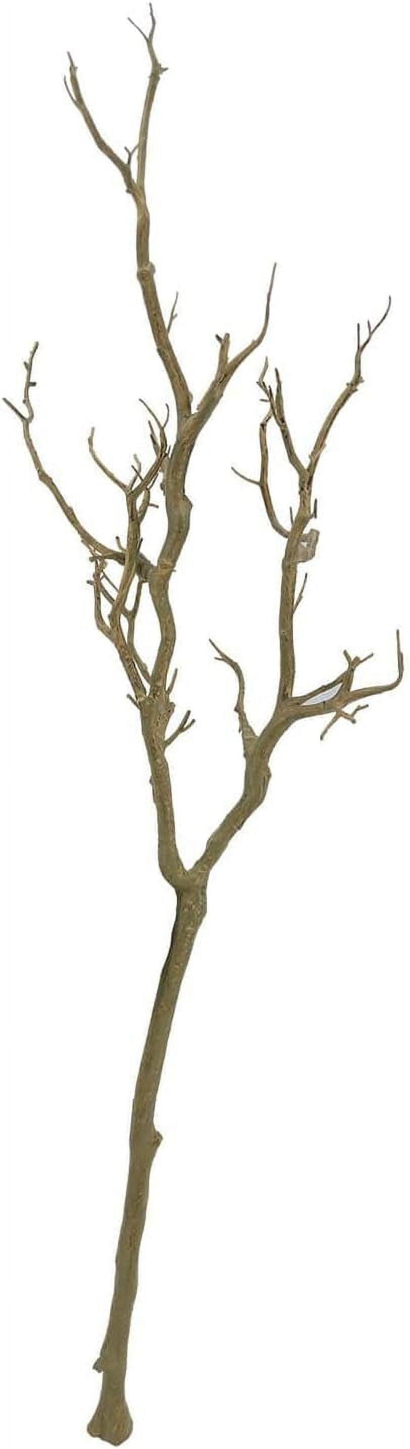 3ft Natural Brown Birch Branch for Floral Arrangements