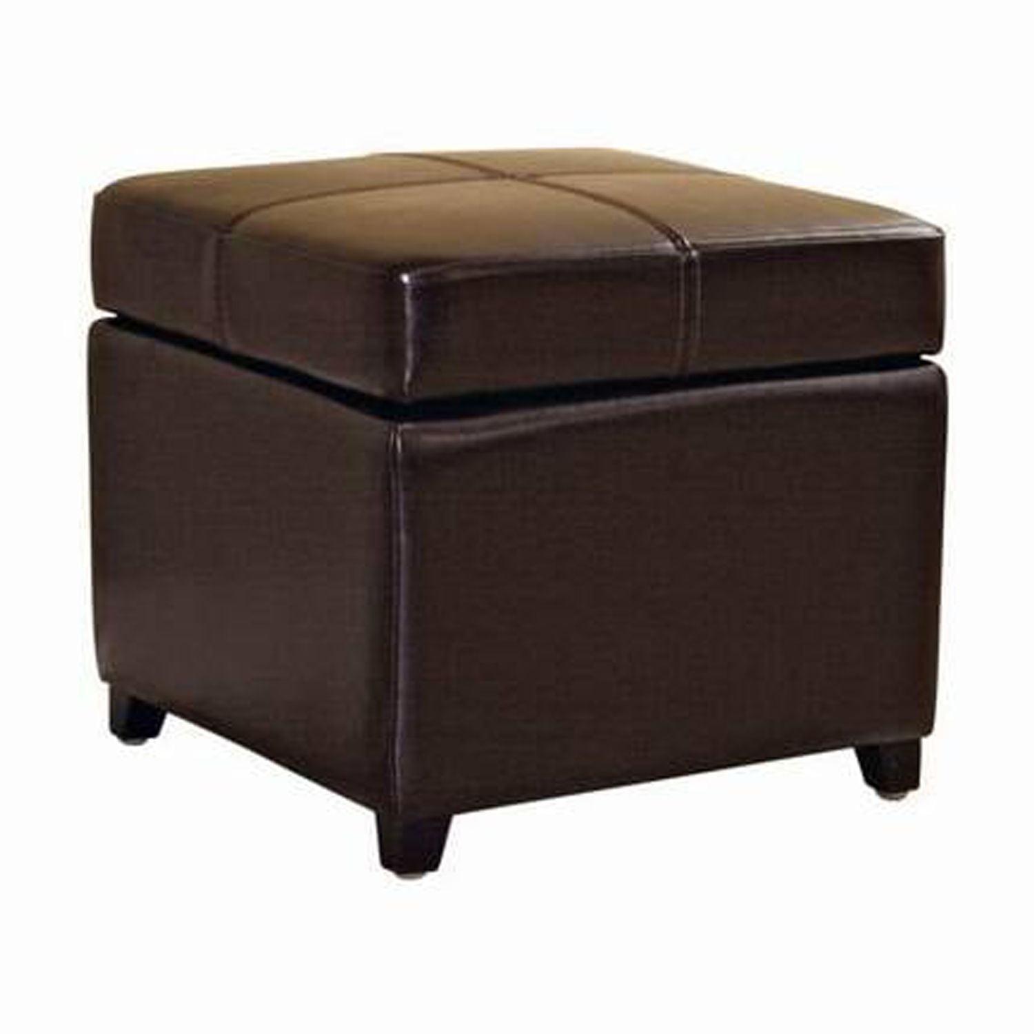 Pandora 18'' Dark Brown Full Leather Storage Cube Ottoman