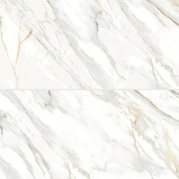 Shandar 24" x 48" Porcelain Marble Look Wall Floor Use Tile in Arezzo Bianco