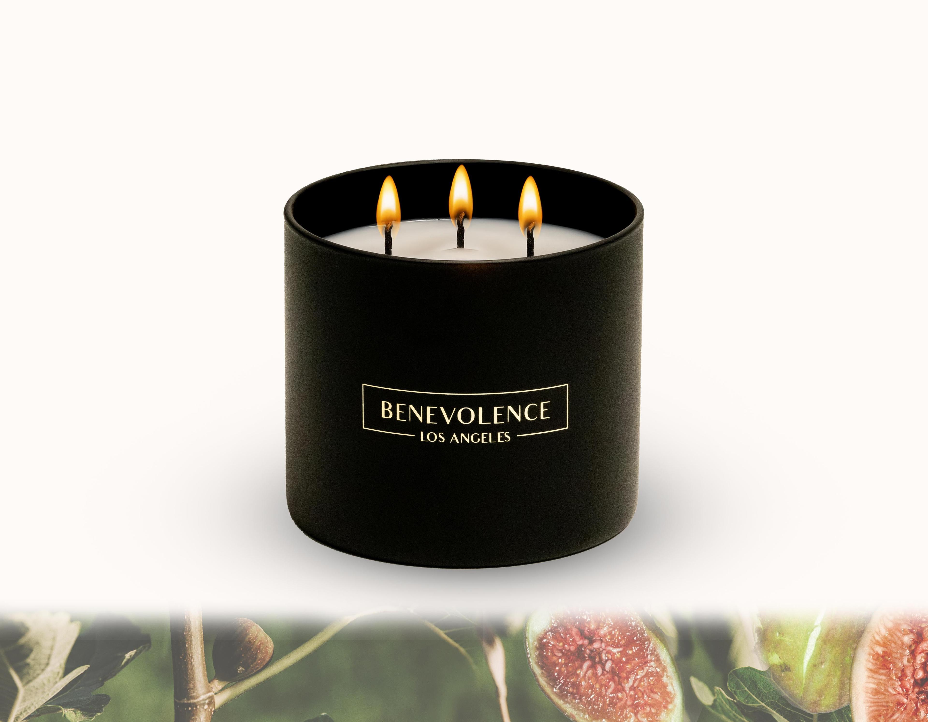 Benevolence LA Premium All Natural Soy 3 Wick Candles In Matte Black Glass Jar - Fig Tree Scent (14.5 oz)