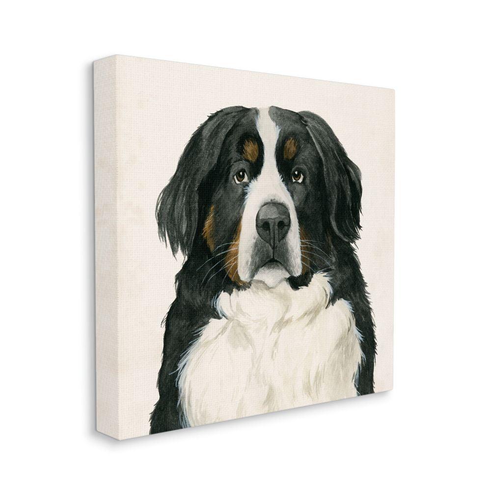 Stupell Industries " Bernese Mountain Dog Portrait " by Grace Popp