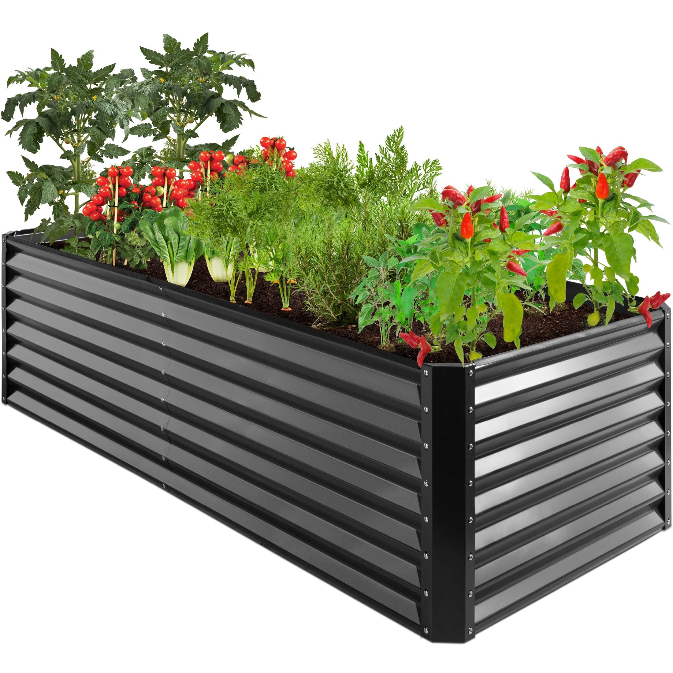 Arlmont & Co. Rosonda 8x4x2ft Outdoor Metal Raised Garden Bed, Planter Box for Vegetables, Flowers, Herbs