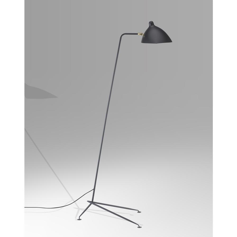 Adjustable Modern Black Aluminum Floor Lamp with Brass Hardware