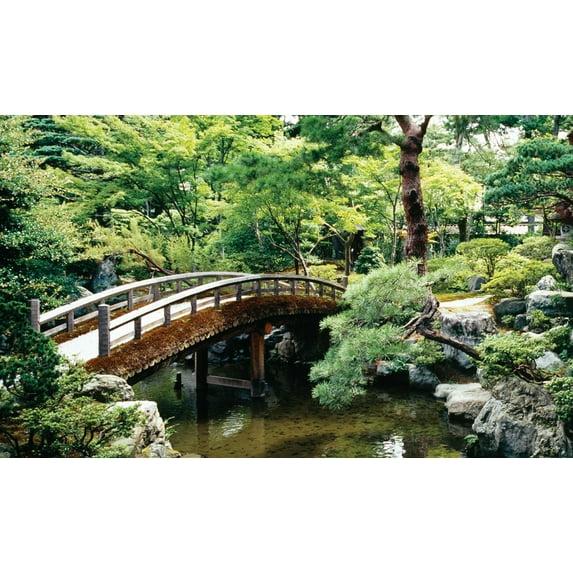 Biggies 120" Bonsai Photograph Window Well Scenes