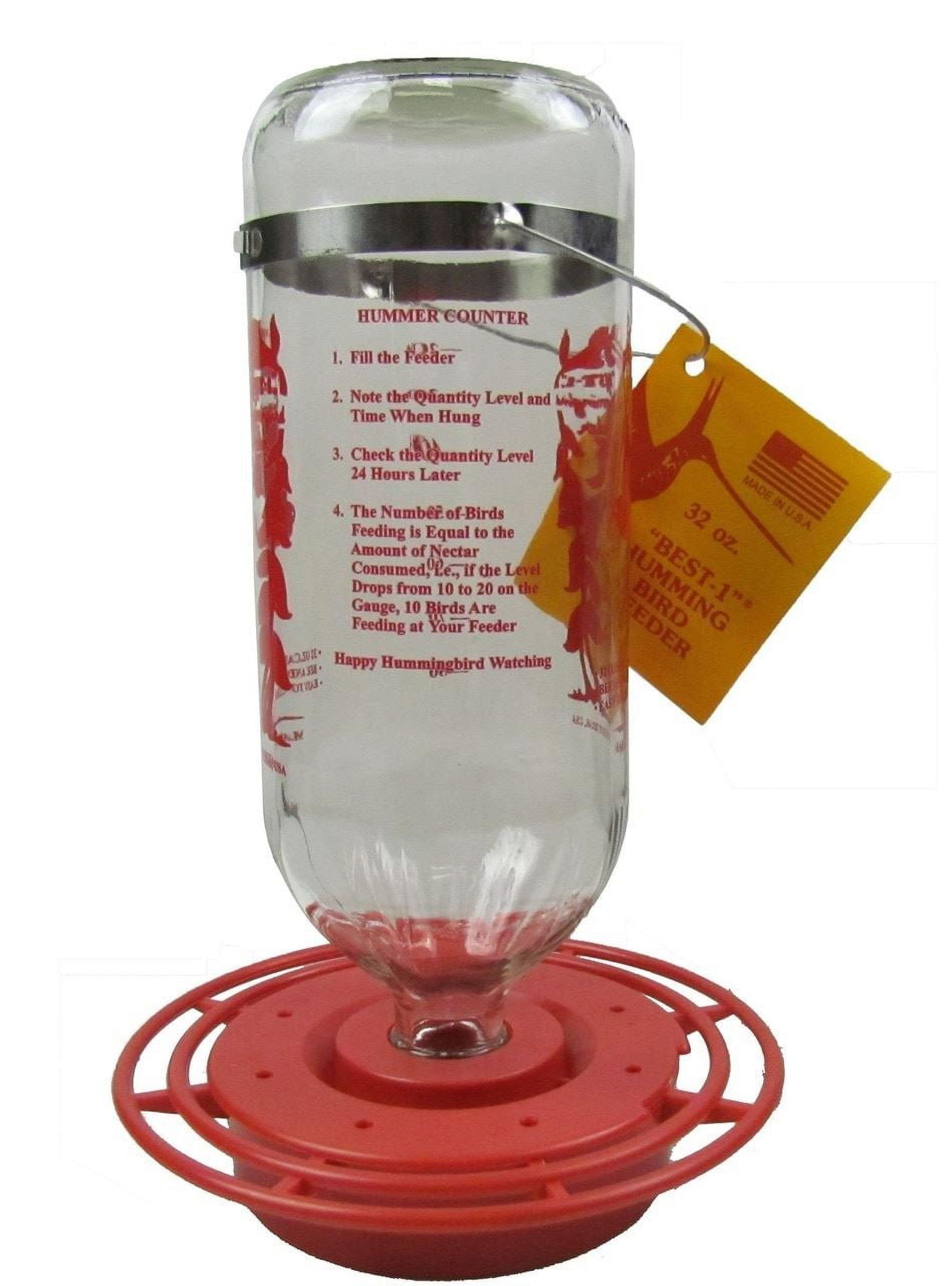 Large Clear Glass and Red Plastic Hummingbird Feeder, 32 oz