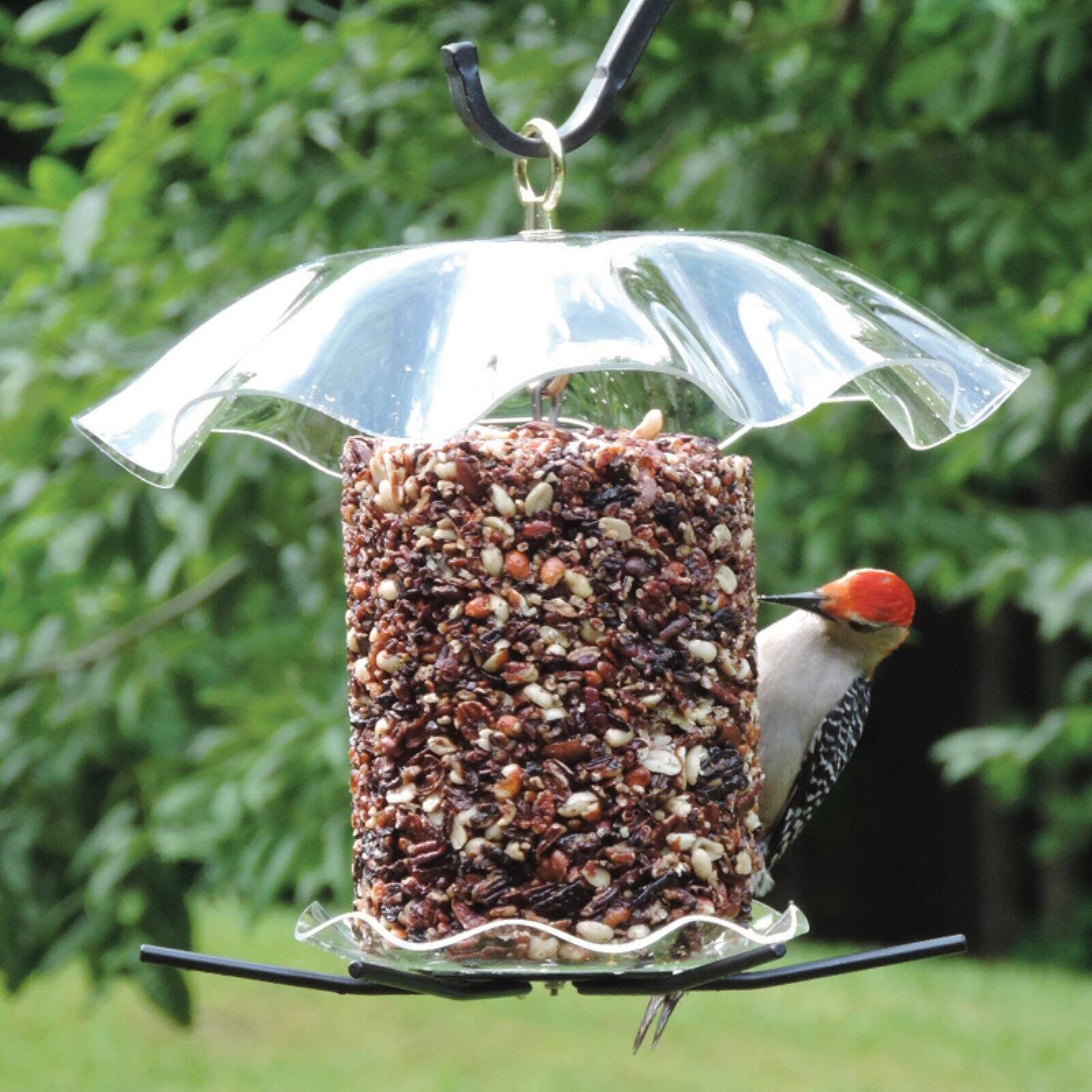 Clear Acrylic Hanging Seed Cylinder Bird Feeder