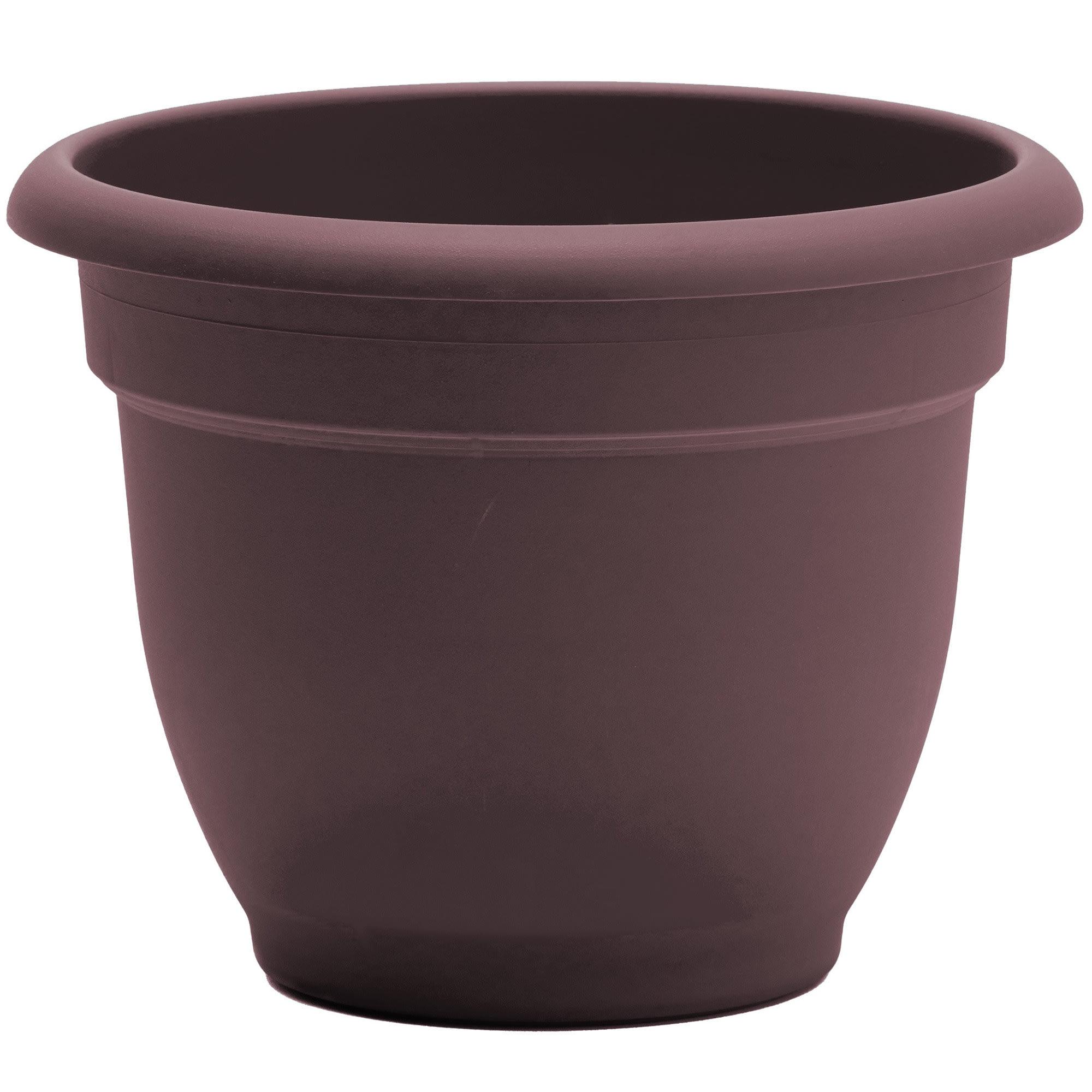 Bloem Ariana Self Watering Planter 12" Merlot. The Ariana planter wate, Each