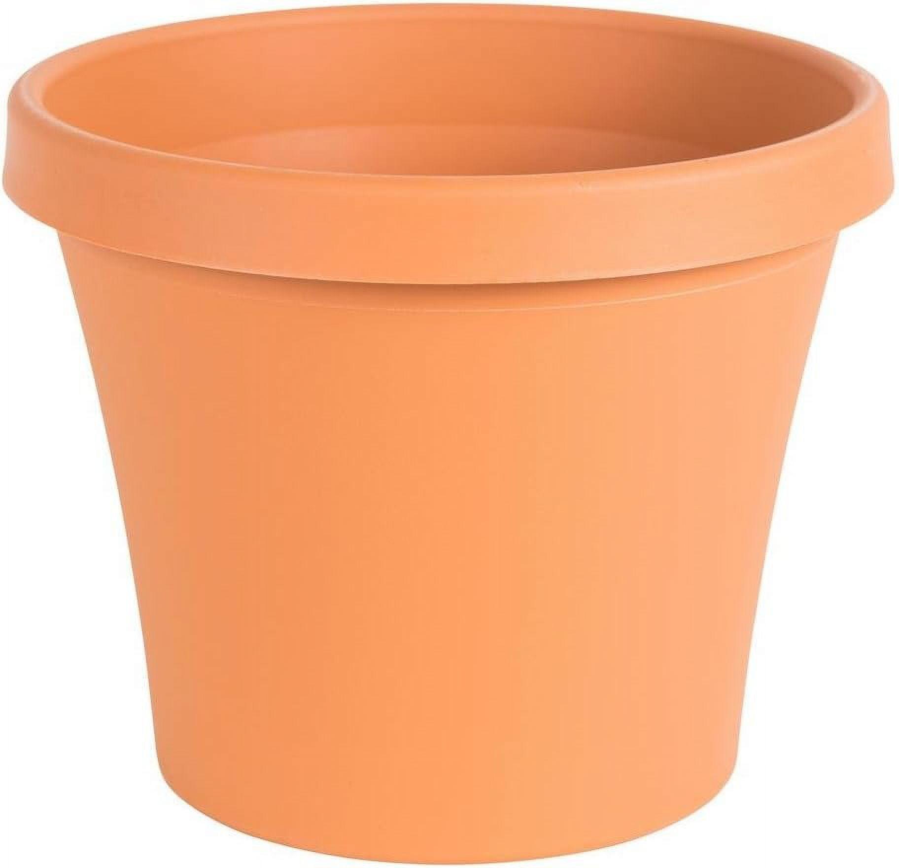 Bloem Terra Pot Planter - 6" - Terra Cotta