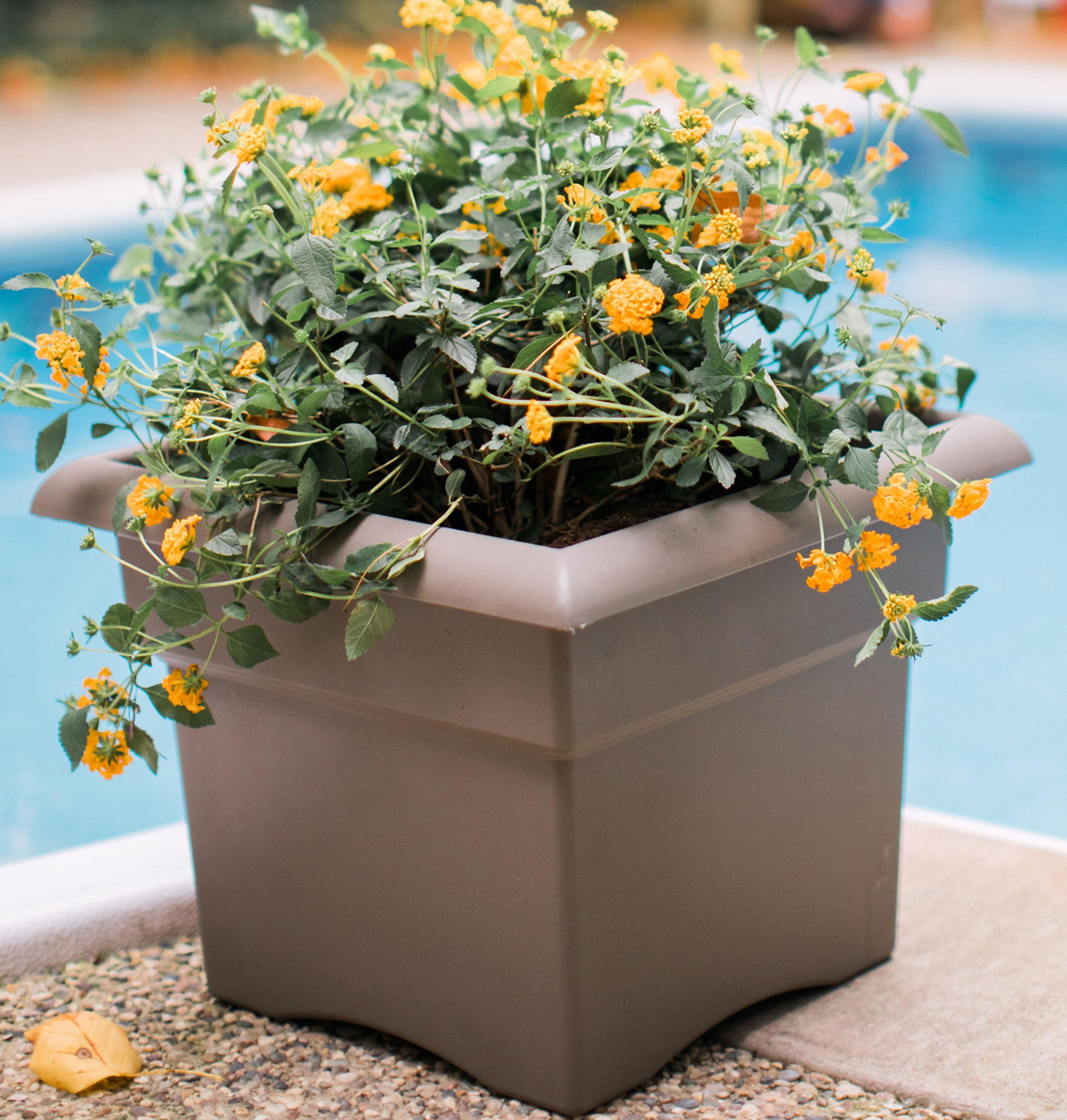 Chocolate Brown 18" Square Deck Box Planter