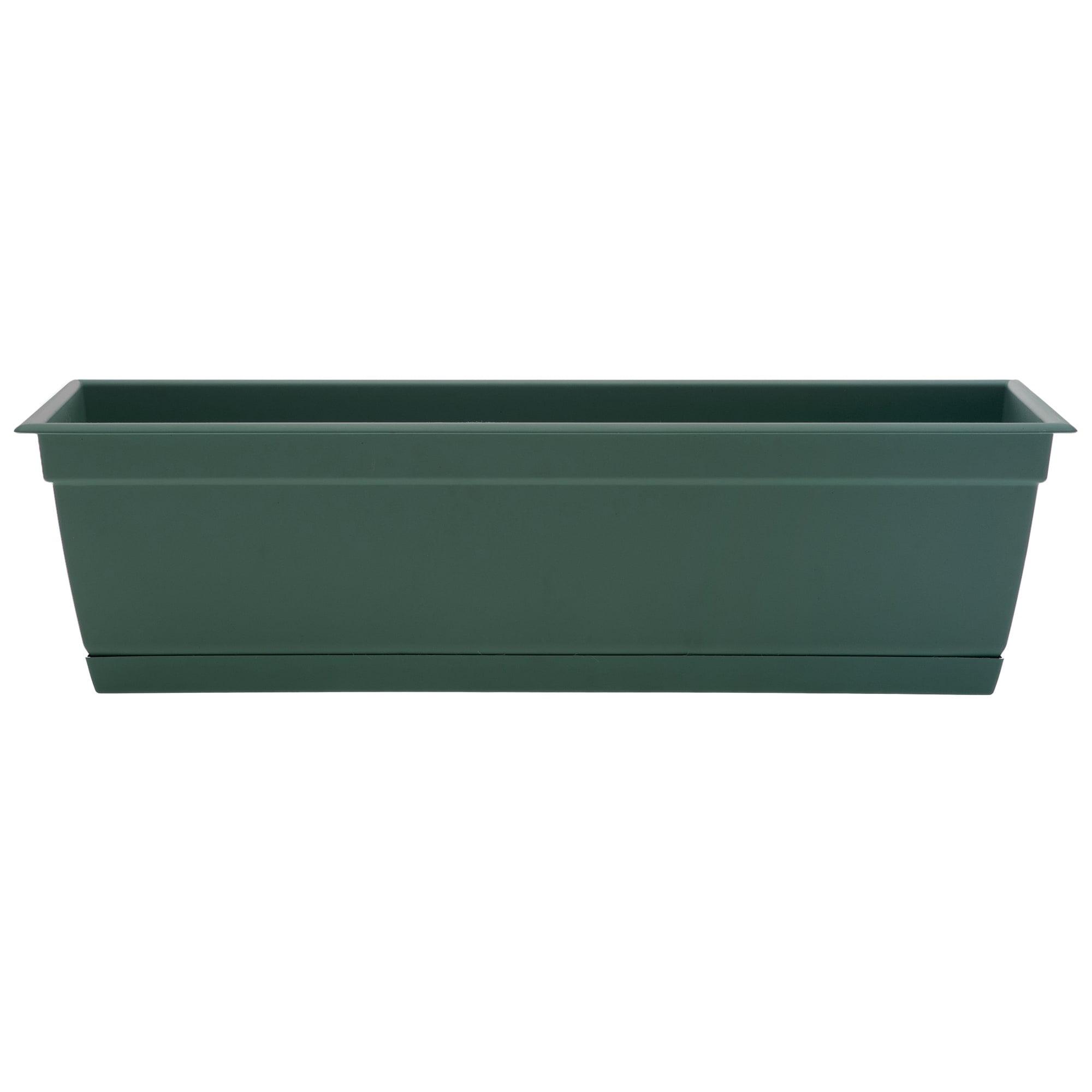 Bloem Dayton 6.87 in. H X 24 in. W Plastic Ocean Series Window Box Turtle Green