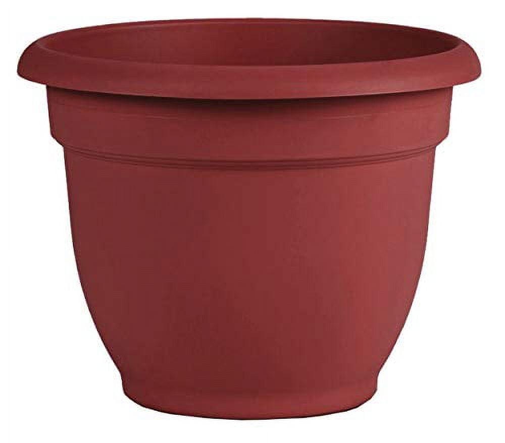 Bloem Ariana Self-Watering Planter in Burnt Red 12"