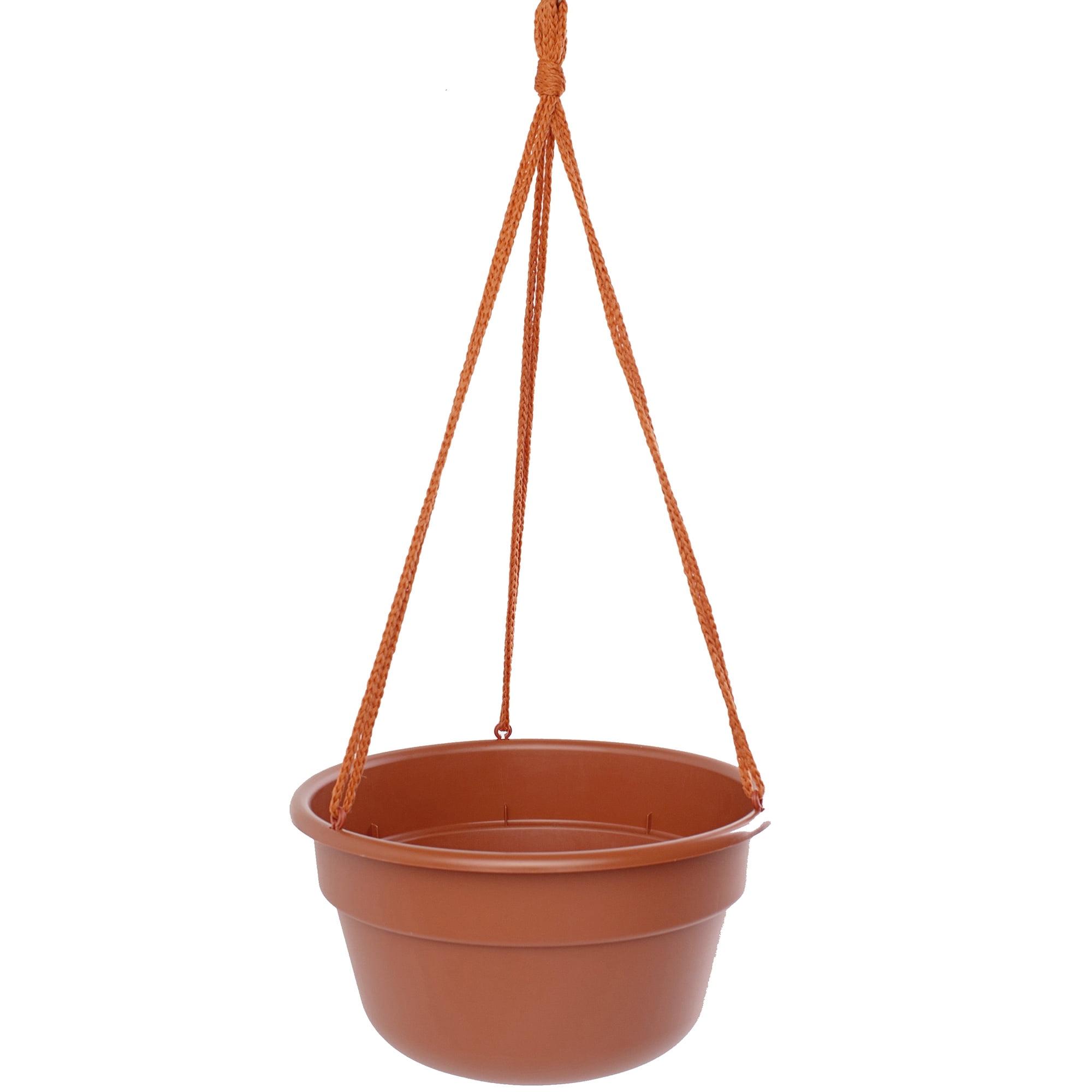 Bloem 6.8 in. H X 12.4 in. D Resin Dura Cotta Hanging Basket Terracotta Clay