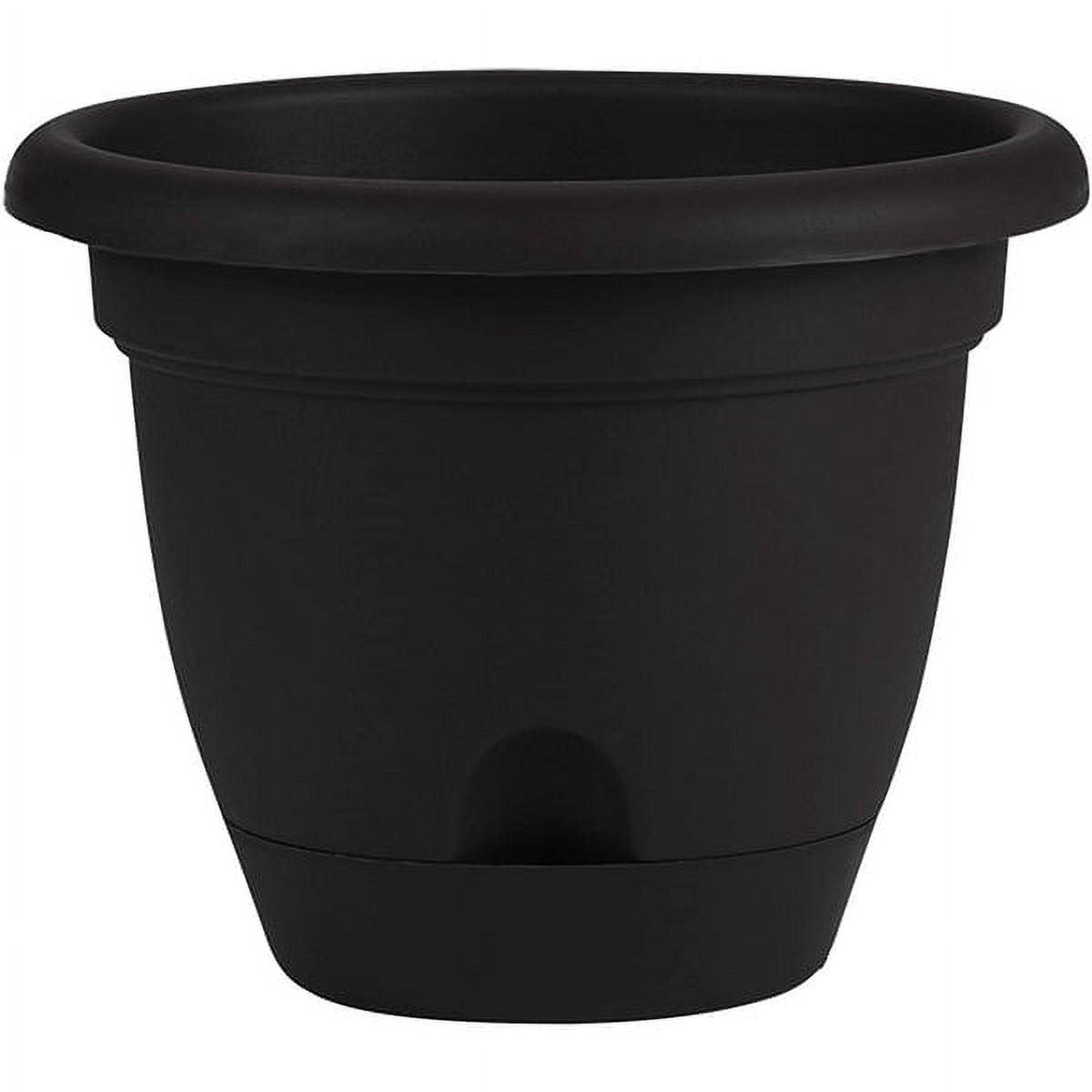 Bloem Lucca 8.8 in. H X 11 in. D Resin Planter Black