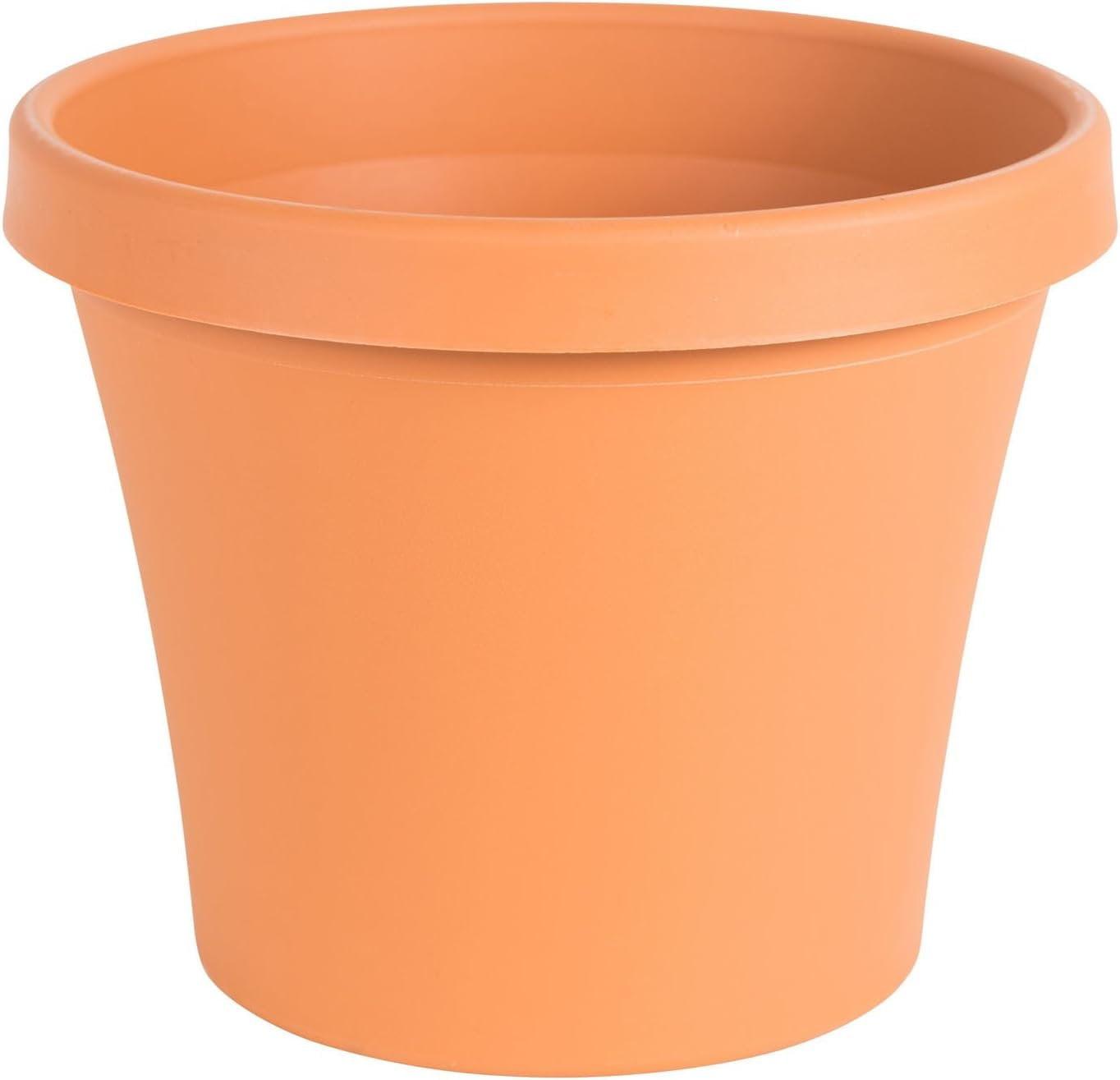 Bloem Terra Pot Planter - 6" - Terra Cotta