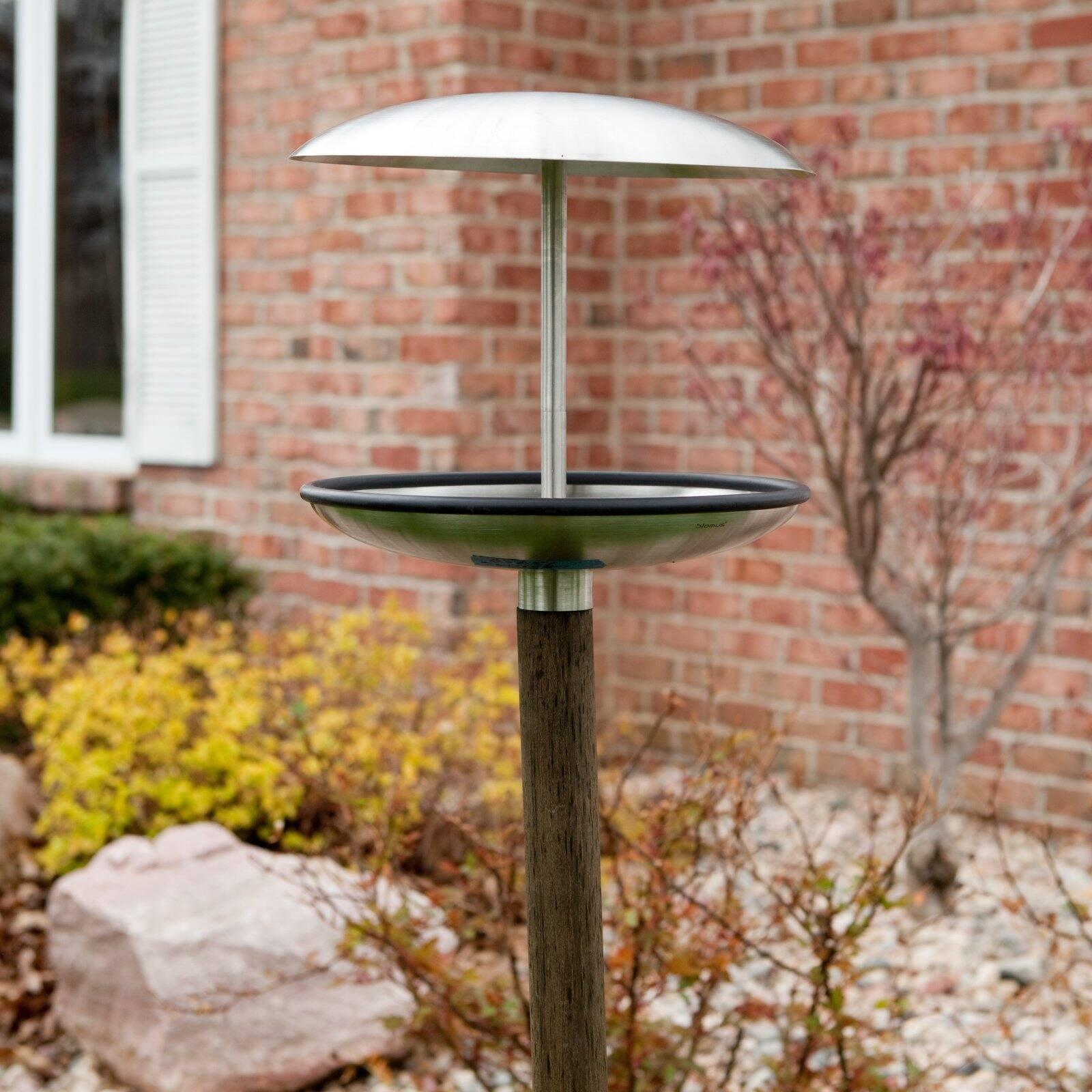 Stainless Steel and Beechwood Convertible Bird Feeder and Bath