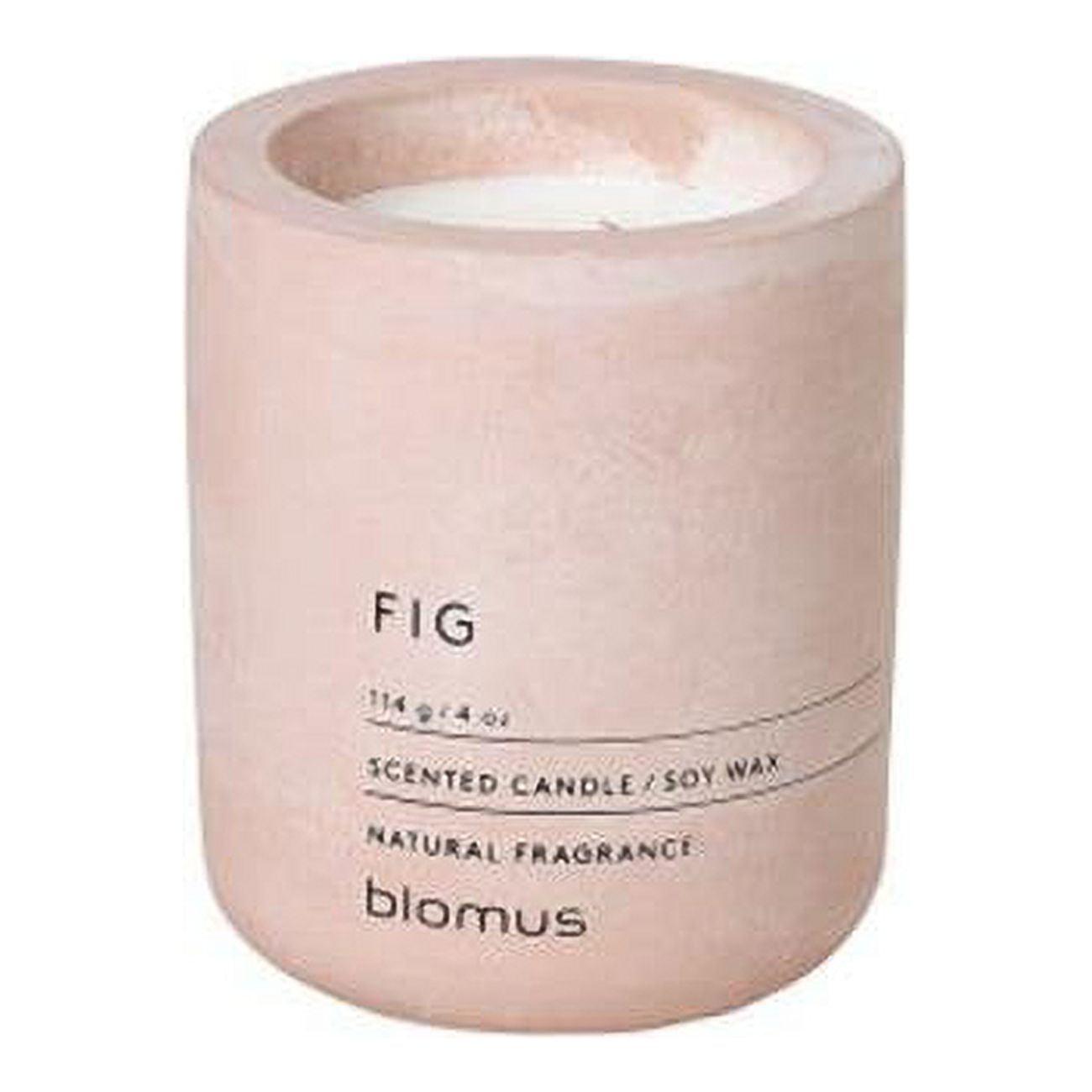 FRAGA Fig Scented Jar Candle