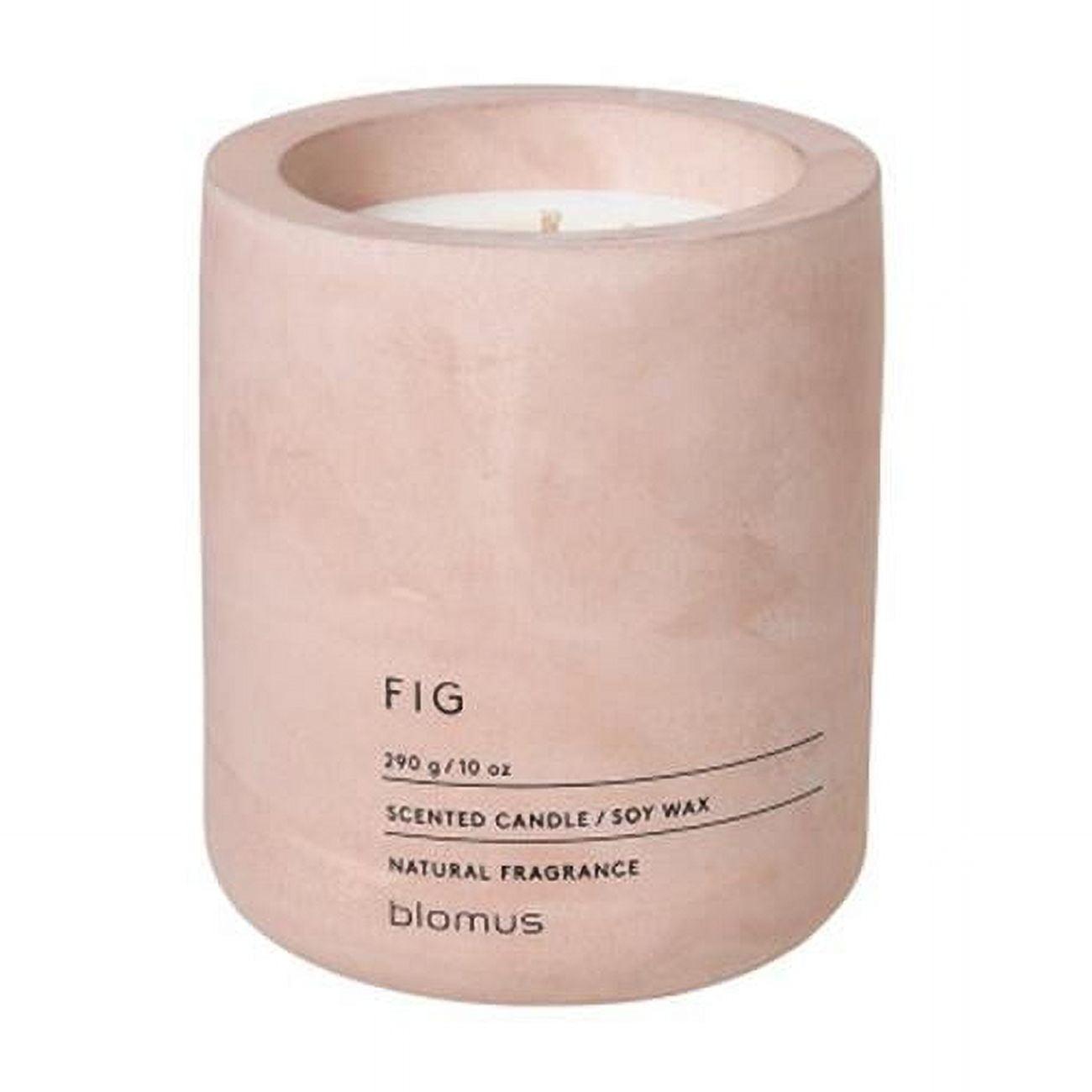 FRAGA Fig Scented Jar Candle