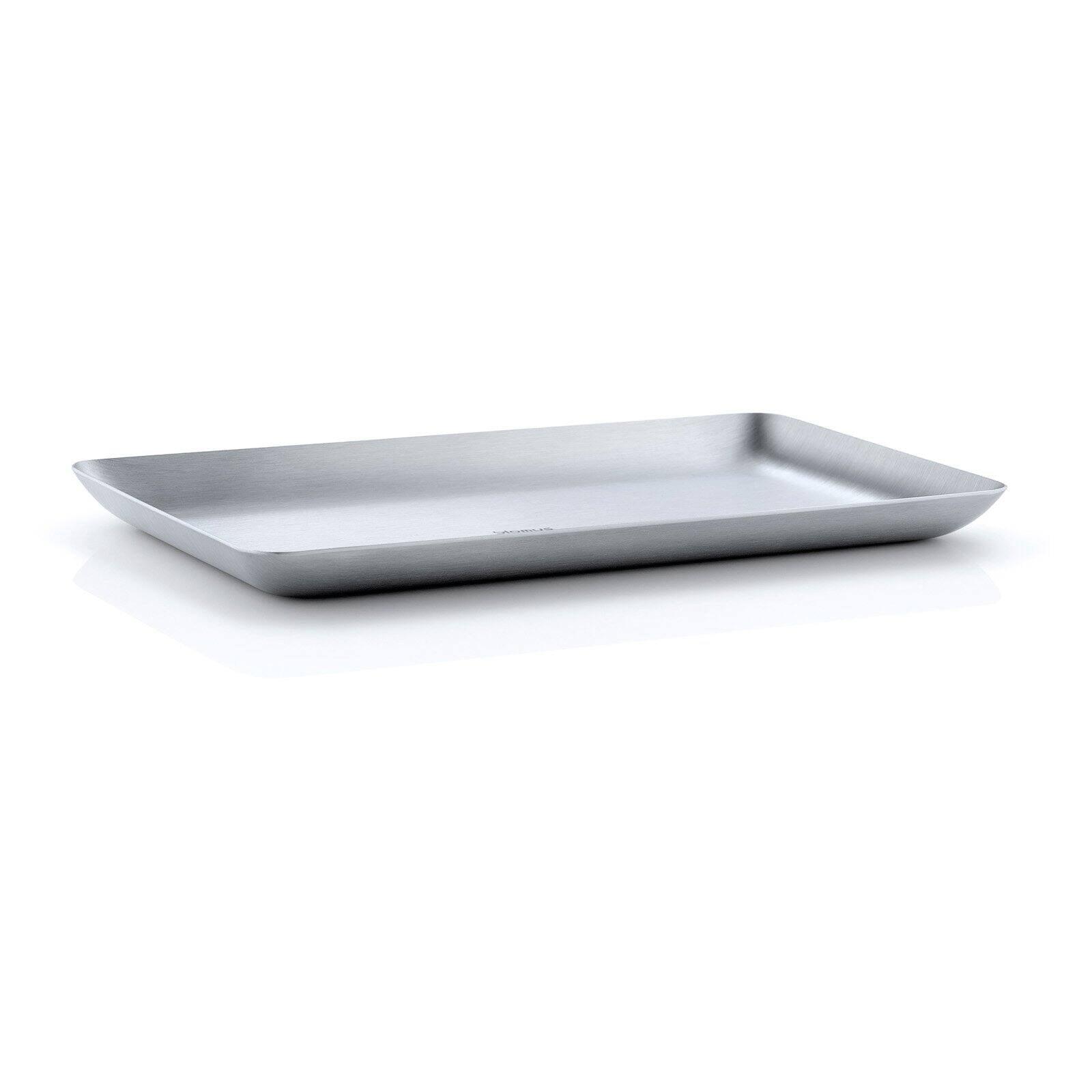 Sleek Matte Stainless Steel Rectangular Condiment Tray