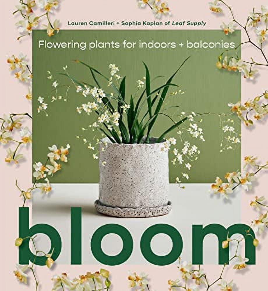 Bloom: Transform Your Space with Indoor & Balcony Flowering Plants