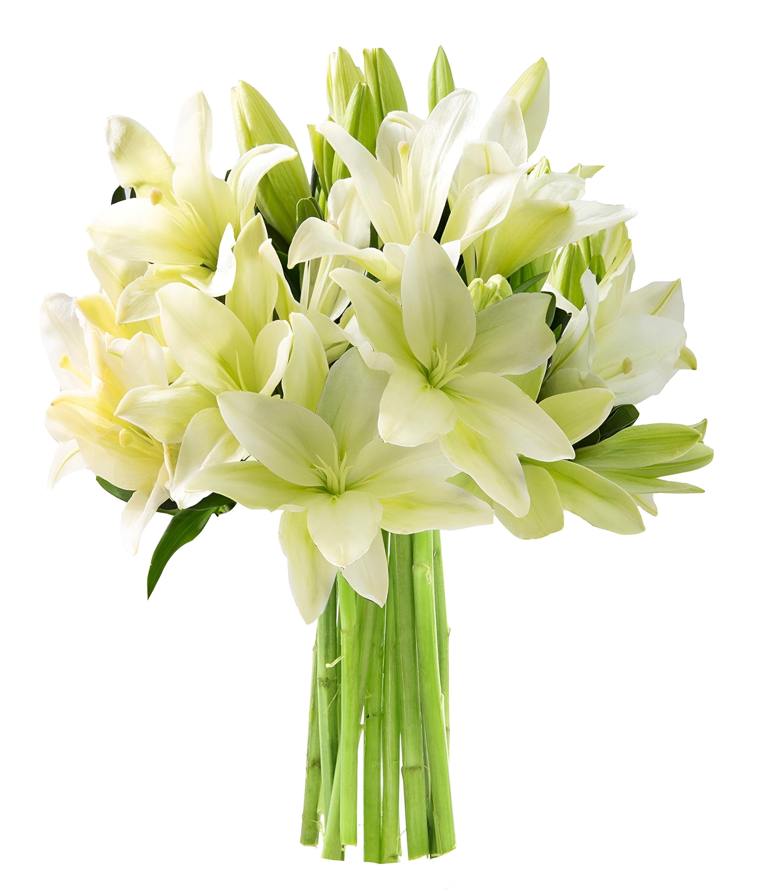 KaBloom : 10 White Lilies, Next-Day Delivery, Gift for Every Occasion.