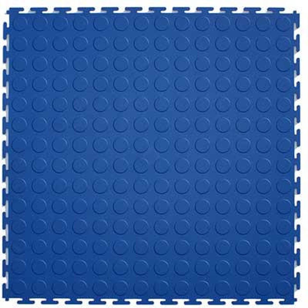 Blue Coin Top 20.5-in x 0.25-in Interlocking Tiles (Case 8)
