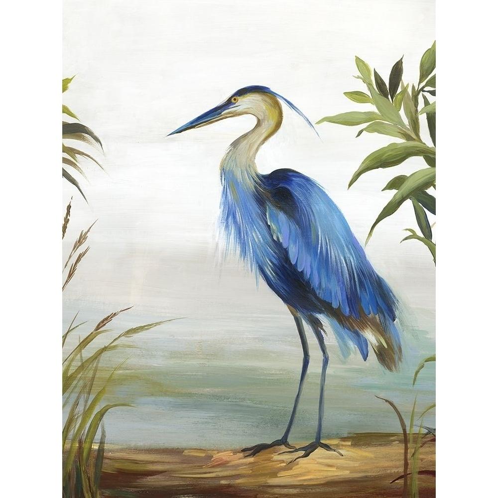 Blue Heron Fine Art Print on Heavy Stock Paper